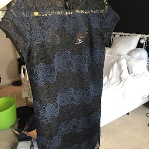 Lace Black and navy loft dress